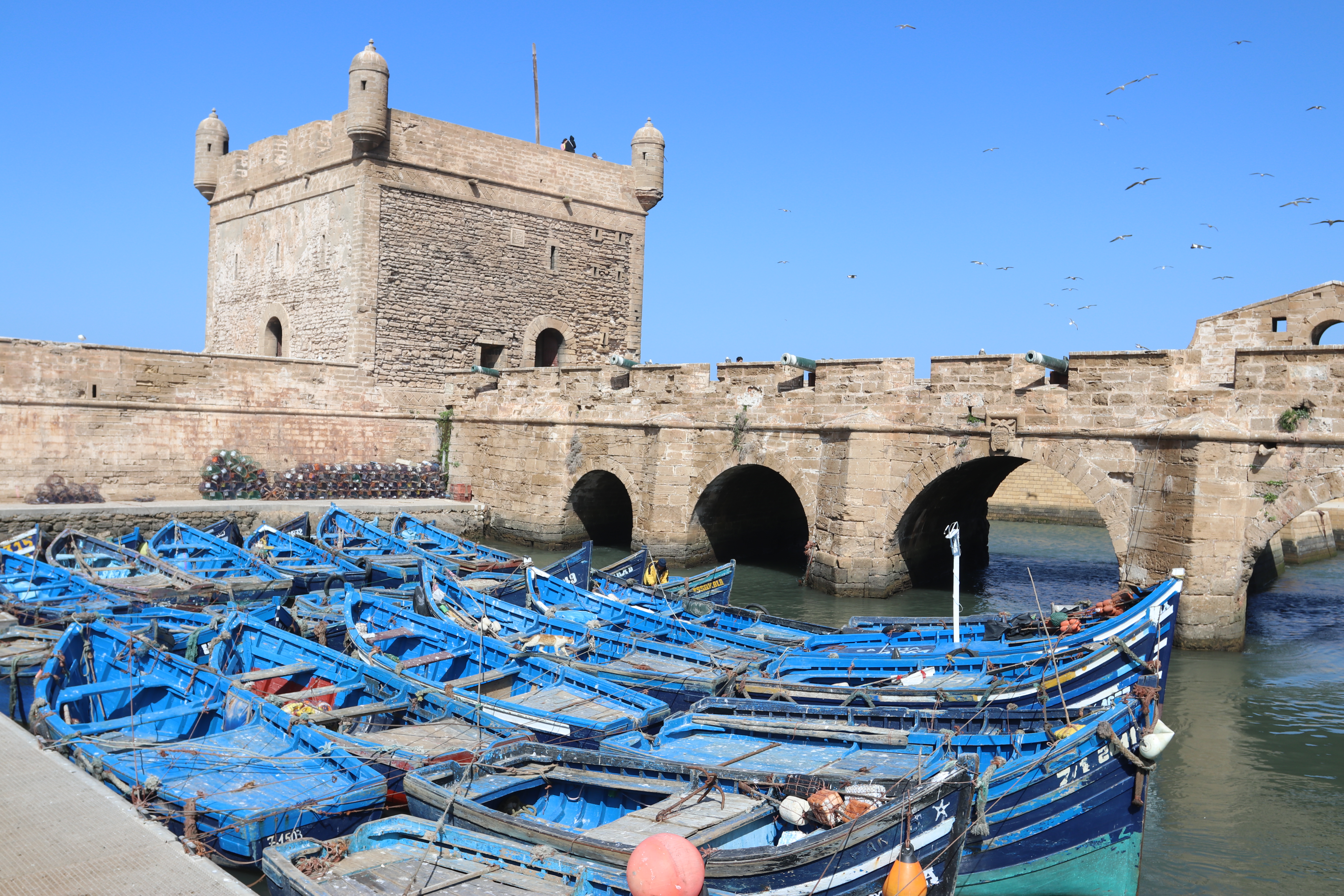 fort boats